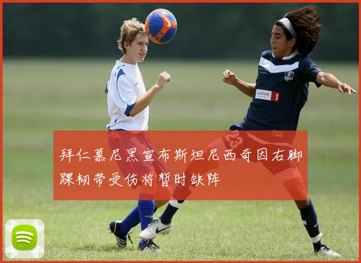 拜仁慕尼黑宣布斯坦尼西奇因右脚踝韧带受伤将暂时缺阵