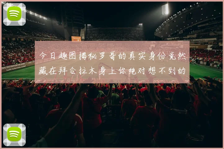 今日趣图揭秘罗哥的真实身份竟然藏在拜合拉木身上你绝对想不到的真相