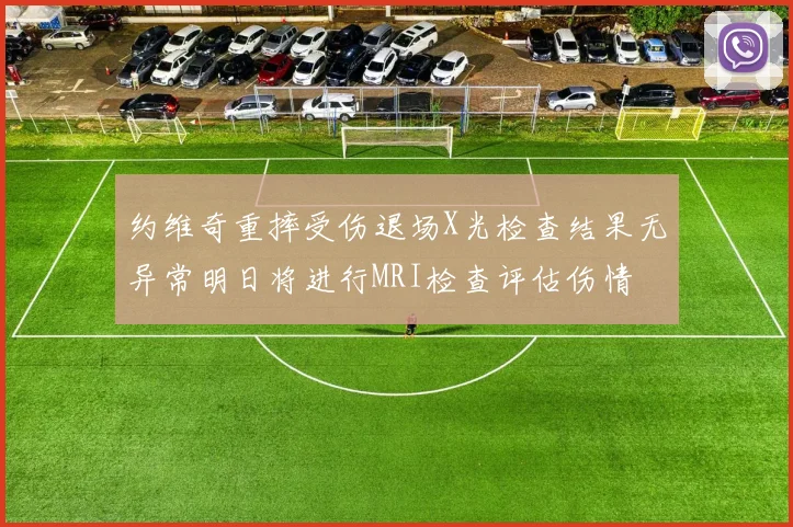 约维奇重摔受伤退场X光检查结果无异常明日将进行MRI检查评估伤情