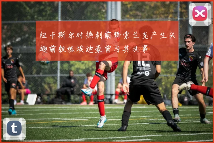 纽卡斯尔对热刺前锋索兰克产生兴趣前教练埃迪豪曾与其共事